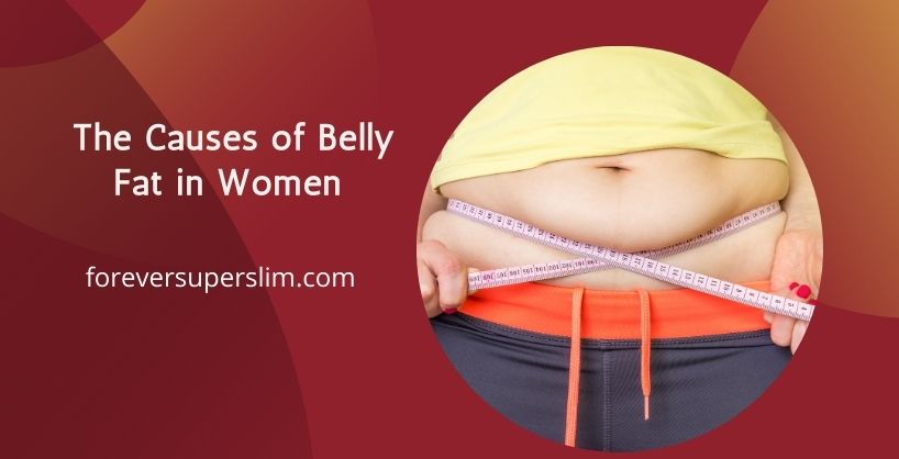 What causes belly fat in females?