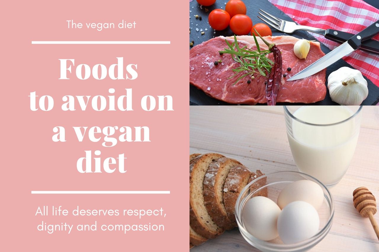 vegan diet for weigh loss