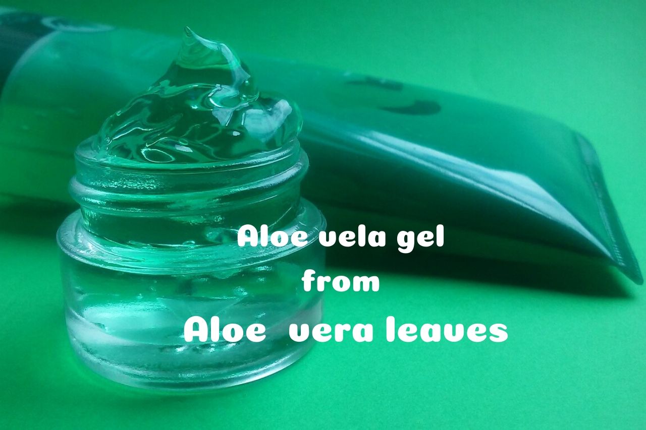 aloe Vera juice health benefits